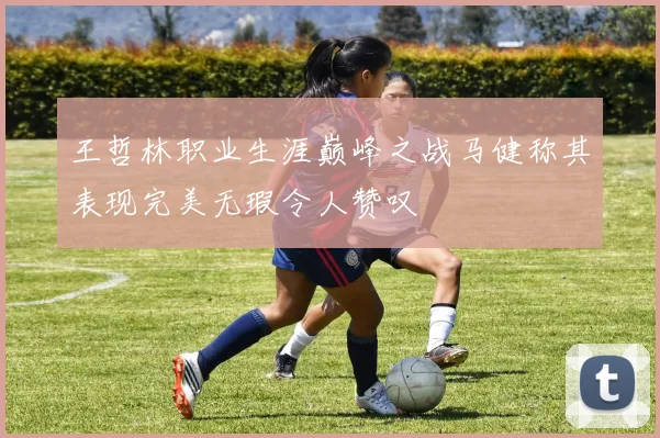 王哲林职业生涯巅峰之战马健称其表现完美无瑕令人赞叹