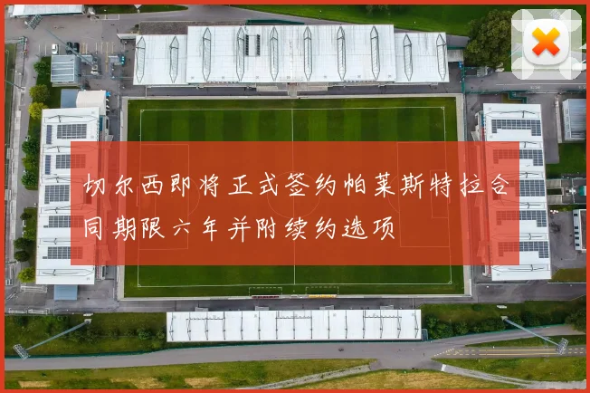 切尔西即将正式签约帕莱斯特拉合同期限六年并附续约选项